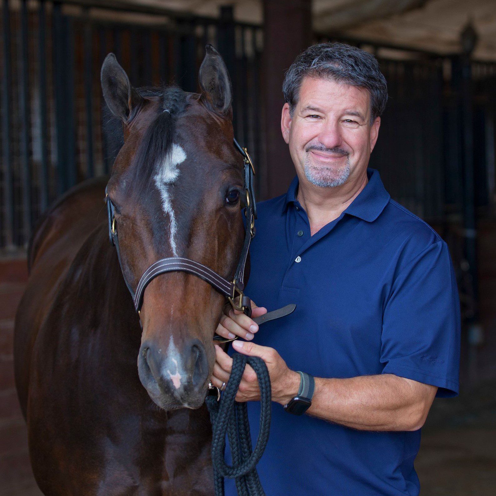 Equine Vet | Albuquerque, NM - Meddleton Equine Clinic